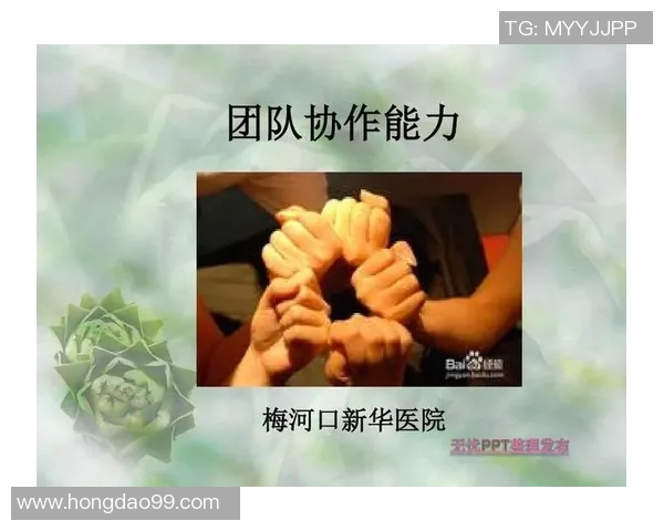 北京乒乓球队团队协作能力大幅提升再创佳绩引发广泛关注与赞誉