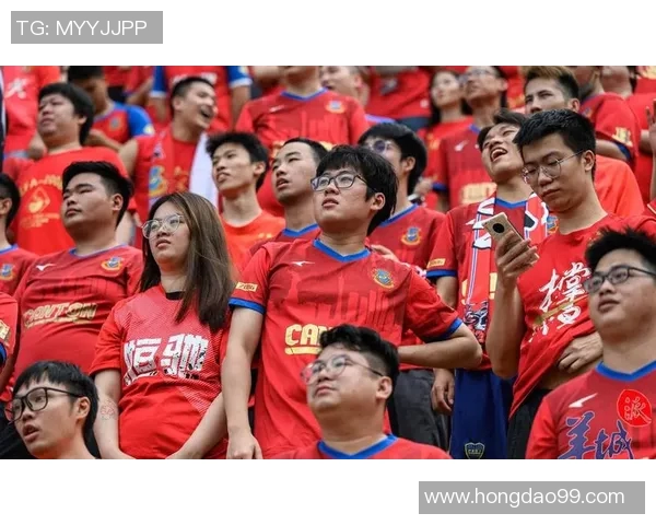 广州排球队总决赛特别报道：从传统强队到新生力量的转型之路