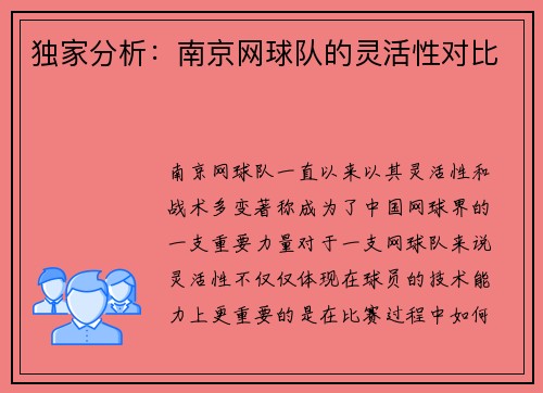 独家分析：南京网球队的灵活性对比